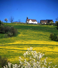 Natur