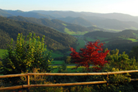 Natur